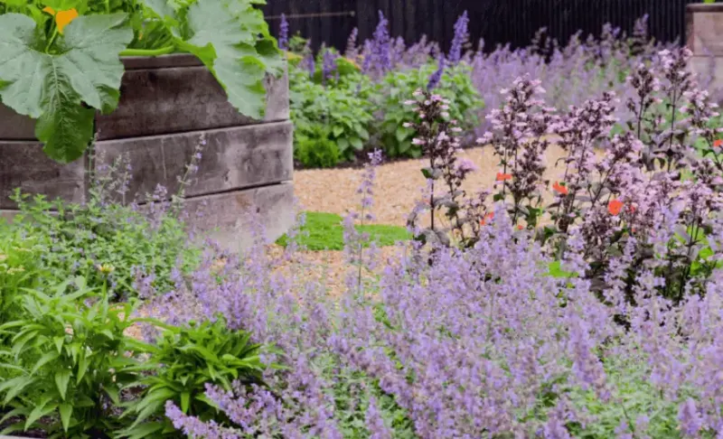 Why Landscape Irrigation is Vital to Your Landscape Design